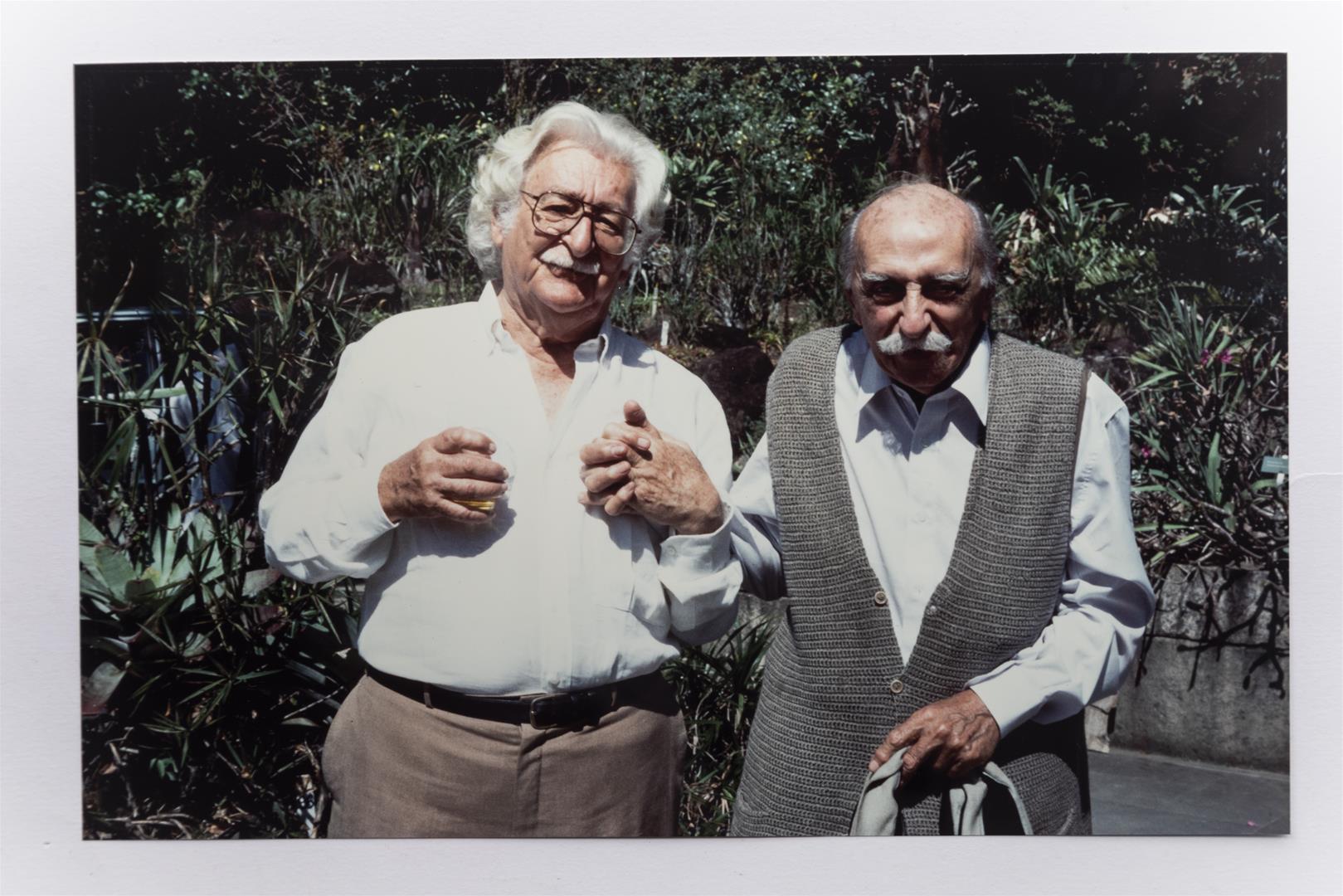 Legenda:  Cr�ditos: Rafael Adorj&aacute;n